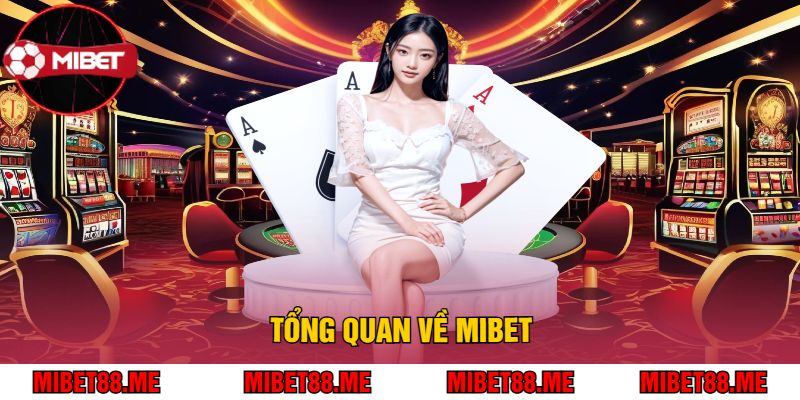 Tổng Quan Về Mibet